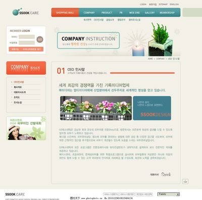 女性護理設計網頁與網站模板 關鍵要素與視覺策略