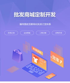 批發(fā)商城定制開發(fā) 批發(fā)商城網(wǎng)站制作 在線批發(fā)商城平臺(tái)建設(shè) 江門析客
