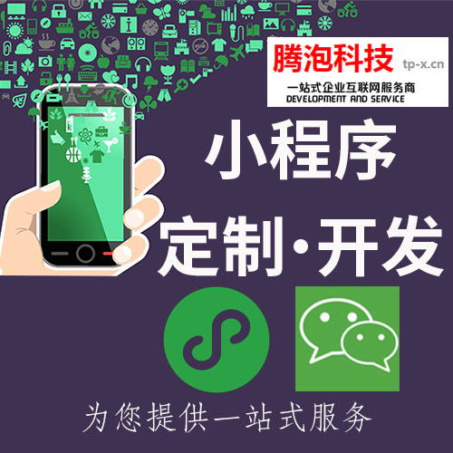 中山小程序開發(fā)公司 小程序 推小程序開發(fā)定制公司哪家好